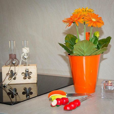 En Attique - Residence Le Ronsard セレスタ エクステリア 写真