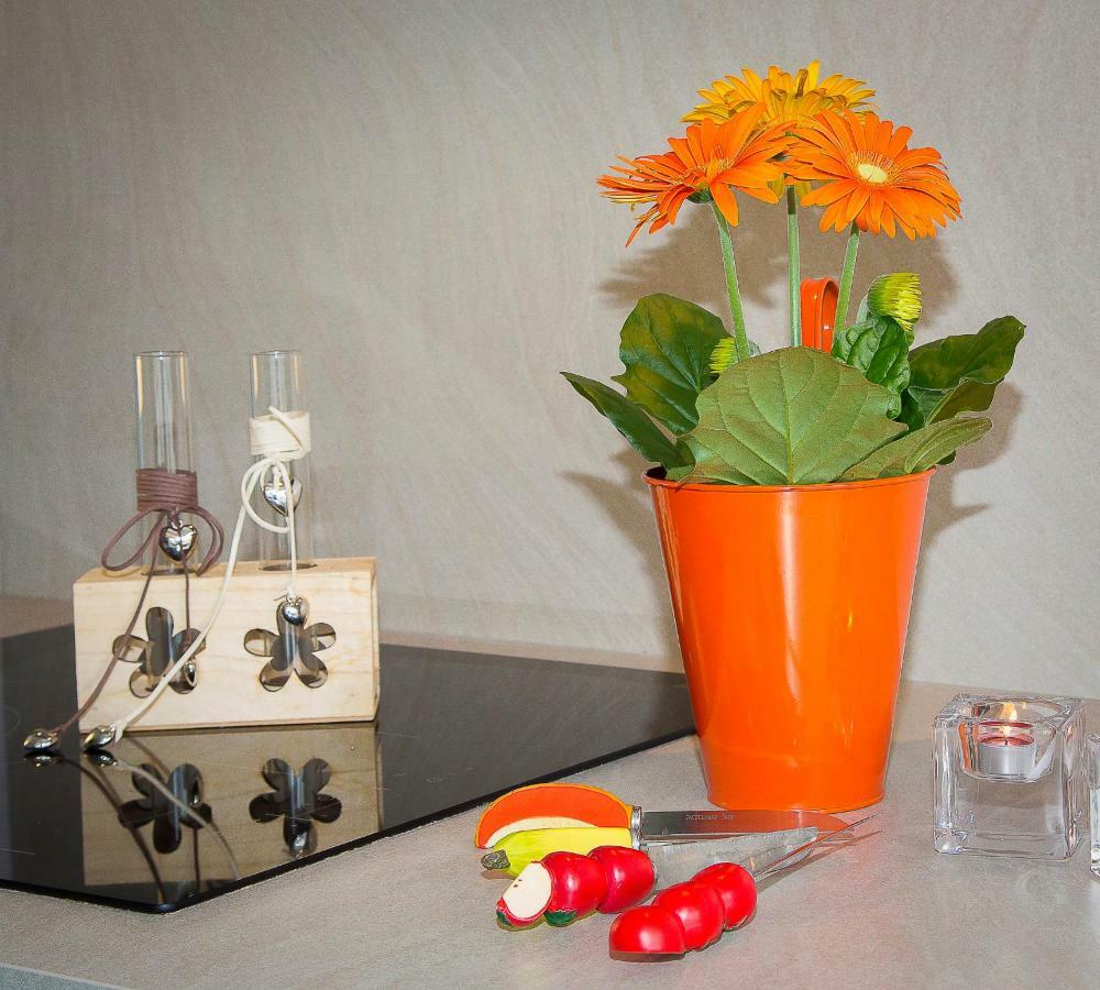 En Attique - Residence Le Ronsard セレスタ エクステリア 写真
