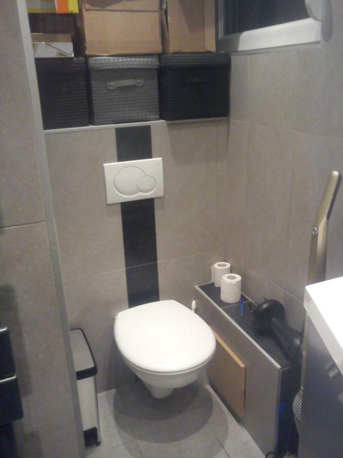 En Attique - Residence Le Ronsard セレスタ エクステリア 写真